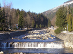 pindlerv Mln